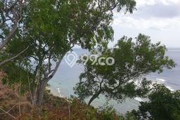 Tanah Kavling Dijual di Badung dengan Spesifikasi 5000m2 Tanah Kavling Dijual di Badung dengan Spesifikasi 5000m2