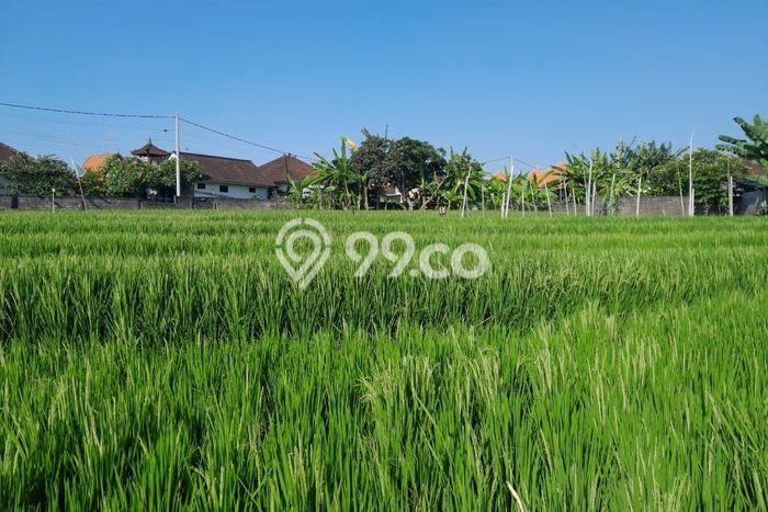 Tanah di , Luas 2000m2m², Siap untuk Sewa Tanah di , Luas 2000m2m², Siap untuk Sewa