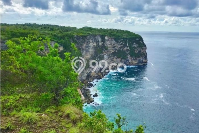 Tanah Dijual di Klungkung Seluas 15000m2 Strategis Tanah Dijual di Klungkung Seluas 15000m2 Strategis