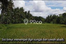 Tanah Dijual di Gianyar Seluas 2358m2 Strategis Tanah Dijual di Gianyar Seluas 2358m2 Strategis