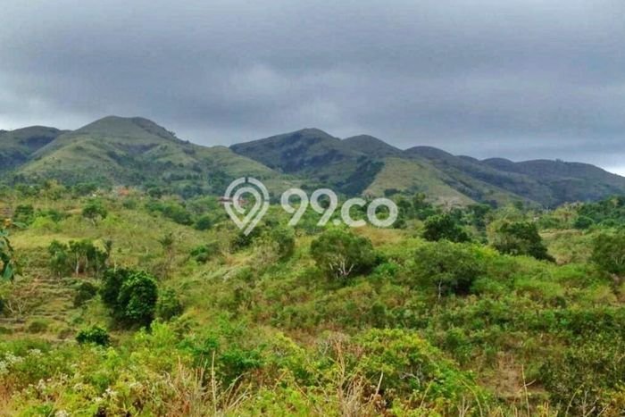 Tanah Dijual di Klungkung Seluas 15000m2 Strategis Tanah Dijual di Klungkung Seluas 15000m2 Strategis