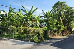 Kavling Tanah untuk Dijual di Umalas, Badung, Luas 965m2 Kavling Tanah untuk Dijual di Umalas, Badung, Luas 965m2