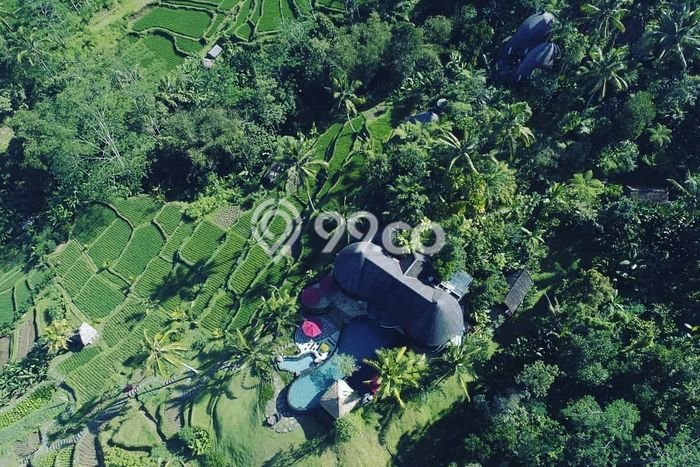 Unit Komersial Dijual di Payangan Gianyar Luas Bangunan 1045m2 Unit Komersial Dijual di Payangan Gianyar Luas Bangunan 1045m2