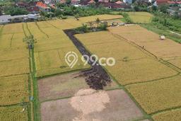 Dijual Tanah Lokasi Dalung, Badung Seluas 1200m2 Dijual Tanah Lokasi Dalung, Badung Seluas 1200m2