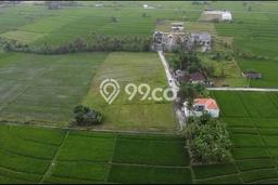 Dijual Tanah 877m2 di Nyanyi, Badung Dijual Tanah 877m2 di Nyanyi, Badung