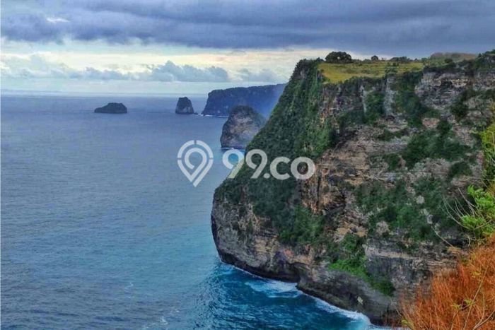 Tanah Dijual di Klungkung Seluas 15000m2 Strategis Tanah Dijual di Klungkung Seluas 15000m2 Strategis