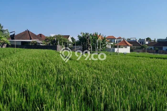 Tanah di , Luas 2000m2m², Siap untuk Sewa Tanah di , Luas 2000m2m², Siap untuk Sewa