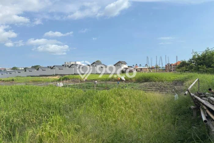Tanah Kawasan Seseh, Luas 4450m2m², Tersedia untuk Rental Tanah Kawasan Seseh, Luas 4450m2m², Tersedia untuk Rental