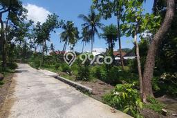 Tanah Kavling untuk Dijual di Wates Kulon Progo 150m2 Tanah Kavling untuk Dijual di Wates Kulon Progo 150m2