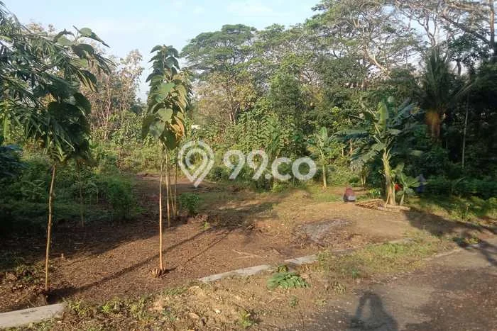 Tanah Dijual Lokasi Wates, Kulon Progo Luas 120m2 Legalitas Aman Tanah Dijual Lokasi Wates, Kulon Progo Luas 120m2 Legalitas Aman