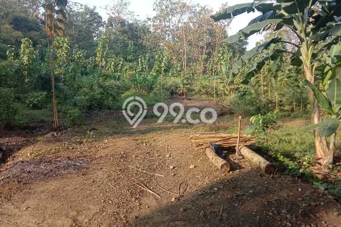 Tanah Dijual Lokasi Wates, Kulon Progo Luas 120m2 Legalitas Aman Tanah Dijual Lokasi Wates, Kulon Progo Luas 120m2 Legalitas Aman