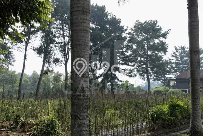 Jarang Ada! Tanah di Lembang Punya Luas 1555m2 SHM Jarang Ada! Tanah di Lembang Punya Luas 1555m2 SHM