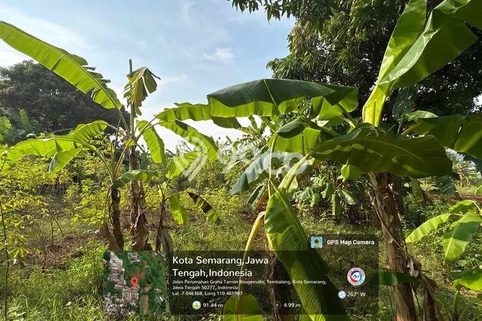Dijual Tanah Lokasi Sendangmulyo, Semarang Seluas 300m2 Dijual Tanah Lokasi Sendangmulyo, Semarang Seluas 300m2