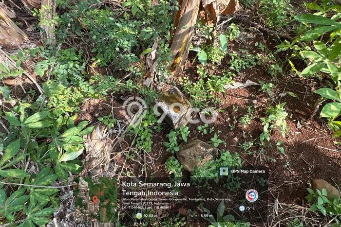 Dijual Tanah Lokasi Sendangmulyo, Semarang Seluas 300m2 Dijual Tanah Lokasi Sendangmulyo, Semarang Seluas 300m2