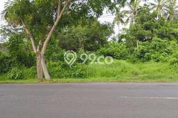 Tanah Kavling di Pekutatan Dijual dengan Luas 24550m2 Tanah Kavling di Pekutatan Dijual dengan Luas 24550m2