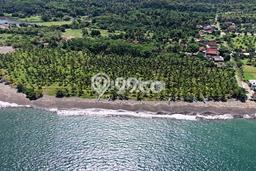 Jual Tanah Area Prospektif Kawasan Melaya, Luas 25700m², Akses Melaya, Jembrana, Jembrana Jual Tanah Area Prospektif Kawasan Melaya, Luas 25700m², Akses Melaya, Jembrana, Jembrana
