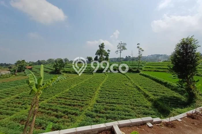 Dijual Tanah di Pangalengan Bandung Luas 4850m2 SHM Dijual Tanah di Pangalengan Bandung Luas 4850m2 SHM