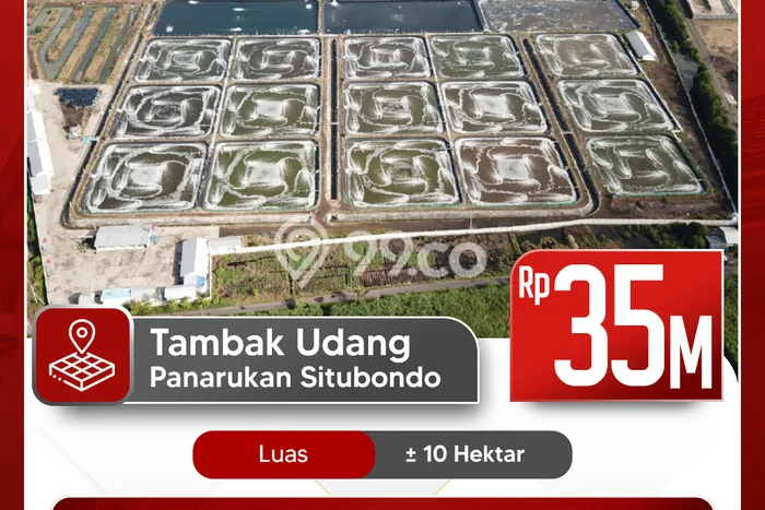 Pabrik Dijual Lokasi Emas di Panarukan Luas 1000m2 Pabrik Dijual Lokasi Emas di Panarukan Luas 1000m2