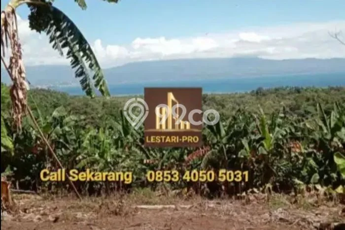 Tanah Kavling di Tuminting Dijual dengan Luas 27000m2 Tanah Kavling di Tuminting Dijual dengan Luas 27000m2