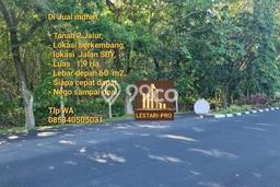 Tanah di Talawaan, Minahasa Utara Luas 19000m2 Dijual Segera Tanah di Talawaan, Minahasa Utara Luas 19000m2 Dijual Segera