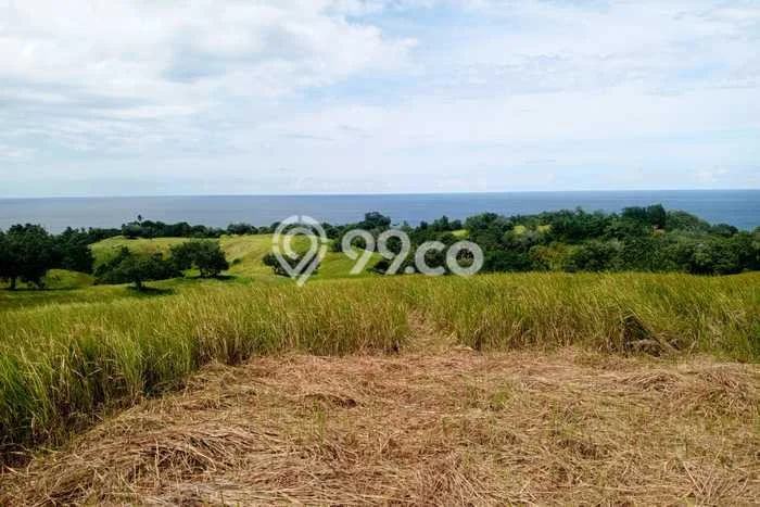 Tanah di Tondano Barat, Minahasa Luas 40000m2 Dijual Segera Tanah di Tondano Barat, Minahasa Luas 40000m2 Dijual Segera