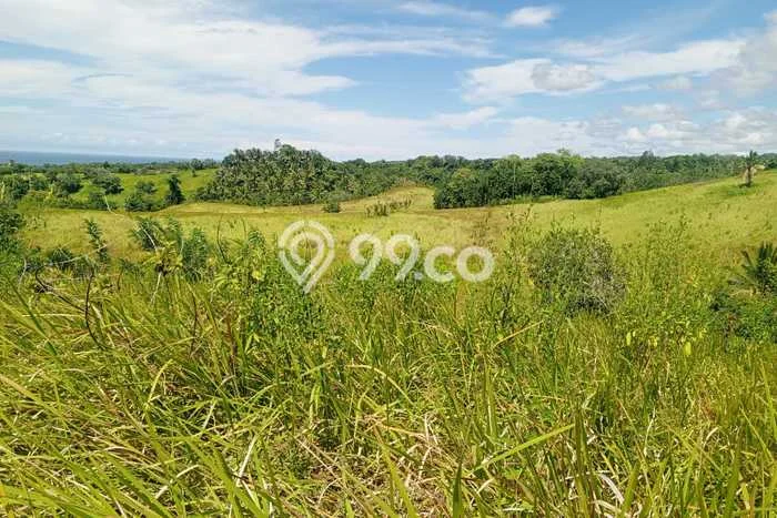 Tanah di Tondano Barat, Minahasa Luas 40000m2 Dijual Segera Tanah di Tondano Barat, Minahasa Luas 40000m2 Dijual Segera
