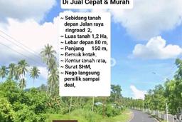 Lahan Dijual Lokasi Mapanget, Manado dengan Luas Tanah 12000m2 dan Status SHM Lahan Dijual Lokasi Mapanget, Manado dengan Luas Tanah 12000m2 dan Status SHM