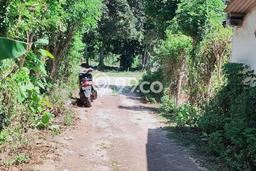 Tanah Kavling Dijual di Badung dengan Spesifikasi 14000m2 Tanah Kavling Dijual di Badung dengan Spesifikasi 14000m2