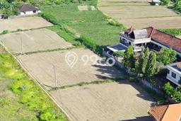 Tanah Dijual di Denpasar Seluas 3900m2 Strategis Tanah Dijual di Denpasar Seluas 3900m2 Strategis