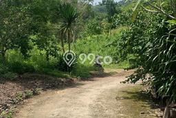 Tanah Siap Bangun Dijual di Klungkung Punya Luas 900m2 Tanah Siap Bangun Dijual di Klungkung Punya Luas 900m2