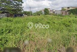 Untuk Dijual Tanah di Ngoro Mojokerto Luas 10748m2 - Untuk Dijual Tanah di Ngoro Mojokerto Luas 10748m2 -