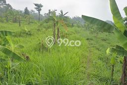 Tanah Kavling untuk Dijual di Prigen Pasuruan 6380m2 Tanah Kavling untuk Dijual di Prigen Pasuruan 6380m2