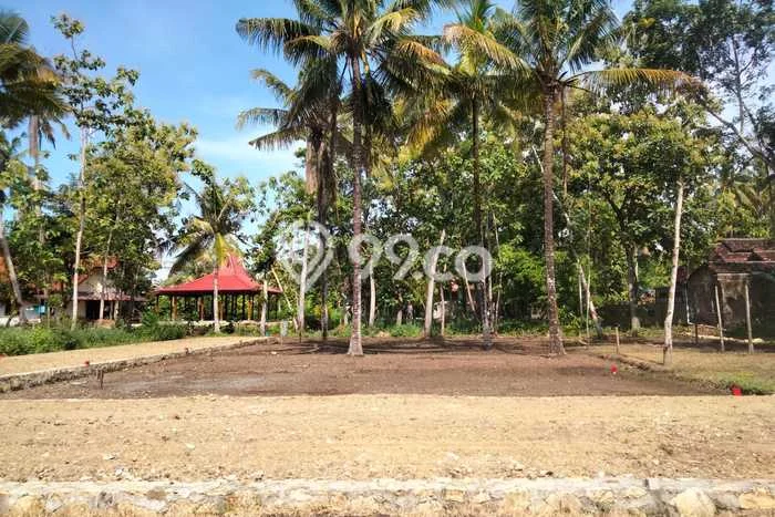 Tanah Kosong Dijual di Kulon Progo dengan Area 102m2 Tanah Kosong Dijual di Kulon Progo dengan Area 102m2