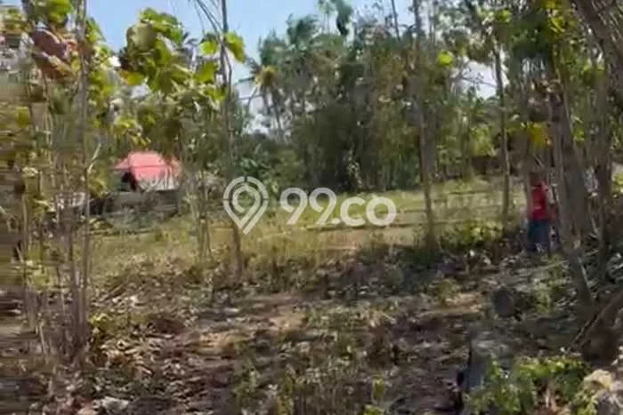 Tanah Strategis di Semanu, Luas 1431m², Dekat Semanu, Gunung Kidul, Gunung Kidul Tanah Strategis di Semanu, Luas 1431m², Dekat Semanu, Gunung Kidul, Gunung Kidul