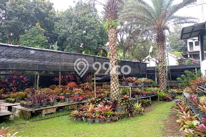 Vila Kawasan Ciawi, Area 2950m2m², Area Strategis untuk usaha Vila Kawasan Ciawi, Area 2950m2m², Area Strategis untuk usaha