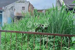 Dijual Cepat Rumah Favorit Siap Huni LB 50m2 di Parung, Bogor Dijual Cepat Rumah Favorit Siap Huni LB 50m2 di Parung, Bogor