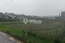 Tanah untuk Dijual di Pangalengan Bandung Luas 13215m2 Tanah untuk Dijual di Pangalengan Bandung Luas 13215m2