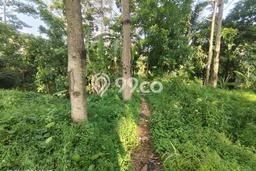 Tanah untuk Dijual Lokasi Cianjur, Cianjur Luas 1072m2 SHM Tanah untuk Dijual Lokasi Cianjur, Cianjur Luas 1072m2 SHM