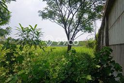 Tanah Lokasi Potensial di , Luas 11m2m², Akses ke Pusat Kota Tanah Lokasi Potensial di , Luas 11m2m², Akses ke Pusat Kota