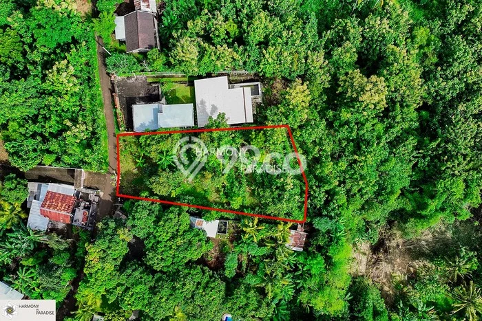 Tanah Dijual Area Strategis di Kaliasem Buleleng 1770m2 Tanah Dijual Area Strategis di Kaliasem Buleleng 1770m2