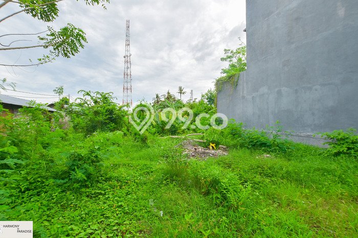 Tanah di Lovina, Kalibukbuk Buleleng SHM 200 m² Tanah di Lovina, Kalibukbuk Buleleng SHM 200 m²