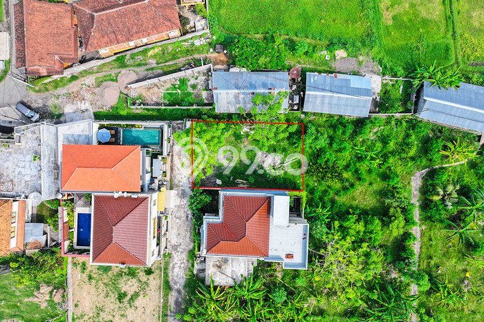 Tanah di Lovina, Kalibukbuk Buleleng SHM 200 m² Tanah di Lovina, Kalibukbuk Buleleng SHM 200 m²