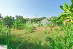Dijual Tanah 400m2 di Temukus, Buleleng Dijual Tanah 400m2 di Temukus, Buleleng