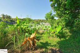 Dijual Tanah Lokasi Temukus, Buleleng Seluas 200m2 Dijual Tanah Lokasi Temukus, Buleleng Seluas 200m2