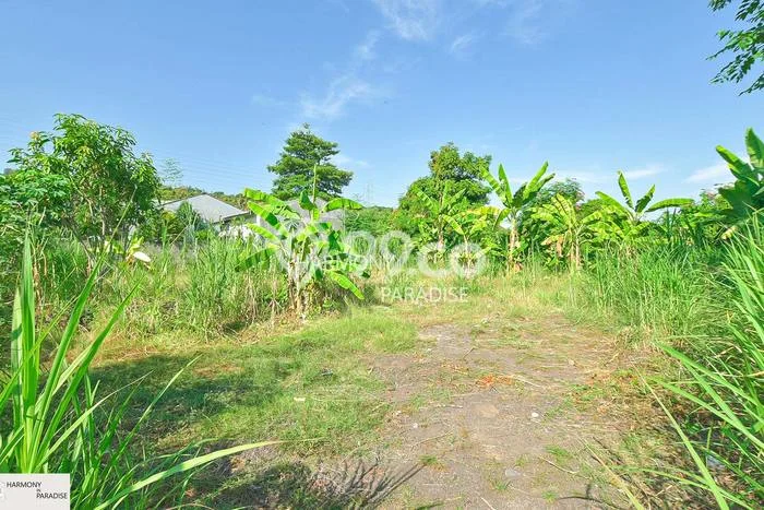 Dijual Tanah Kawasan Temukus, Luas 200m2m², Akses Mudah Dijual Tanah Kawasan Temukus, Luas 200m2m², Akses Mudah