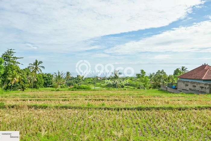 Tanah Dijual di Buleleng Seluas 4700m2 Strategis Tanah Dijual di Buleleng Seluas 4700m2 Strategis