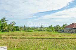 Tanah Dijual di Buleleng Seluas 4700m2 Strategis Tanah Dijual di Buleleng Seluas 4700m2 Strategis