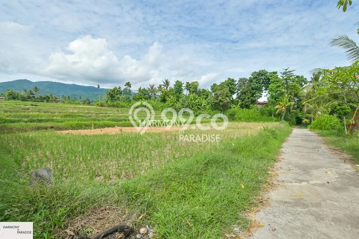 Tanah Dijual di Buleleng Seluas 4700m2 Strategis Tanah Dijual di Buleleng Seluas 4700m2 Strategis