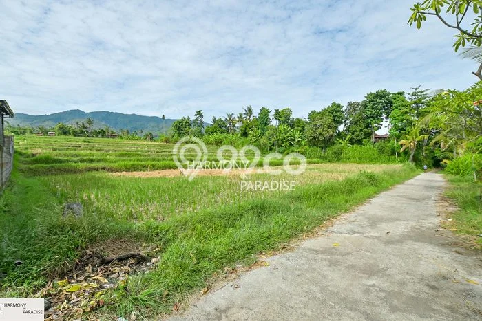 Tanah Dijual di Buleleng Seluas 4700m2 Strategis Tanah Dijual di Buleleng Seluas 4700m2 Strategis