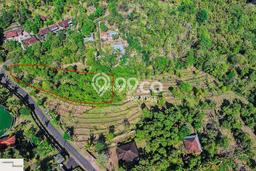 Tanah Investasi Dijual di Buleleng Punya Luas 3300m2 Tanah Investasi Dijual di Buleleng Punya Luas 3300m2